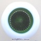 1981 Mushroom - White D/O (Ed. 500) 1981 Mushroom - White D/O (Ed. 500)