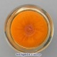 Roundel Pattern on Orange