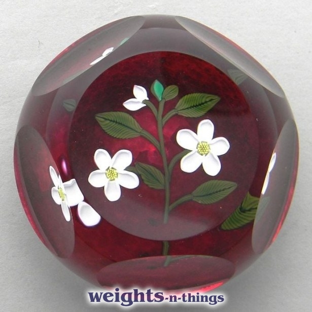 1999 White Flowers on Ruby