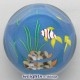 1999B Tropical Fish - Ed. 200