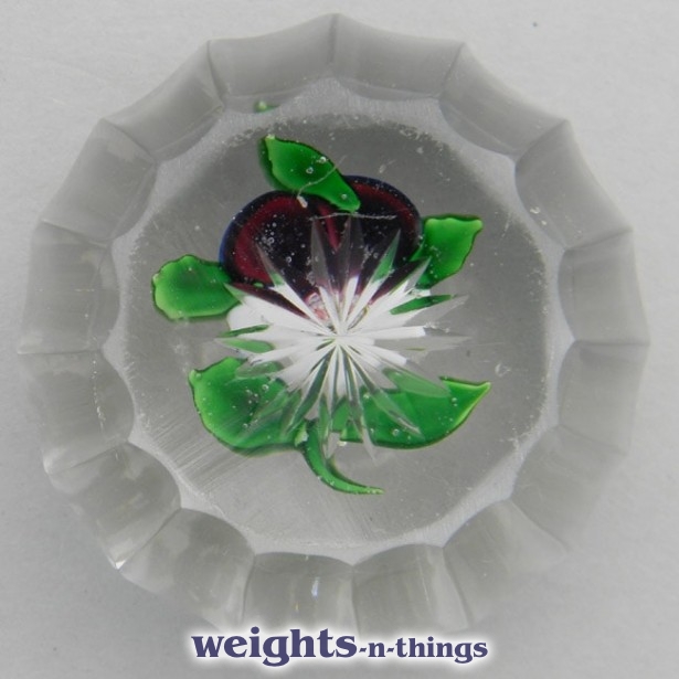 Faceted Miniature Pansy