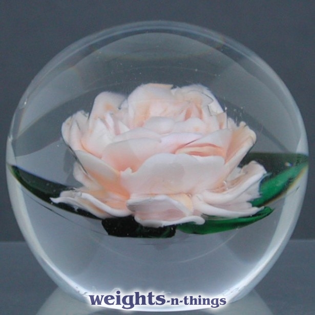 Miniature Blush Rose (2004)