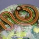 Snake & Yellow Flowers (1990) Snake & Yellow Flowers (1990)