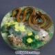 Snake & Yellow Flowers (1990) Snake & Yellow Flowers (1990)