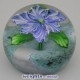 Blue/white Fantasy Flower (2005)