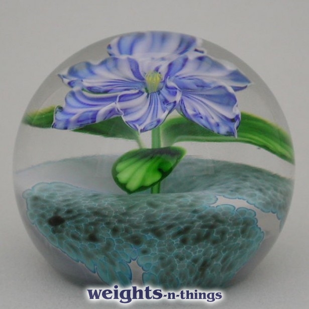 Blue/white Fantasy Flower (2005)