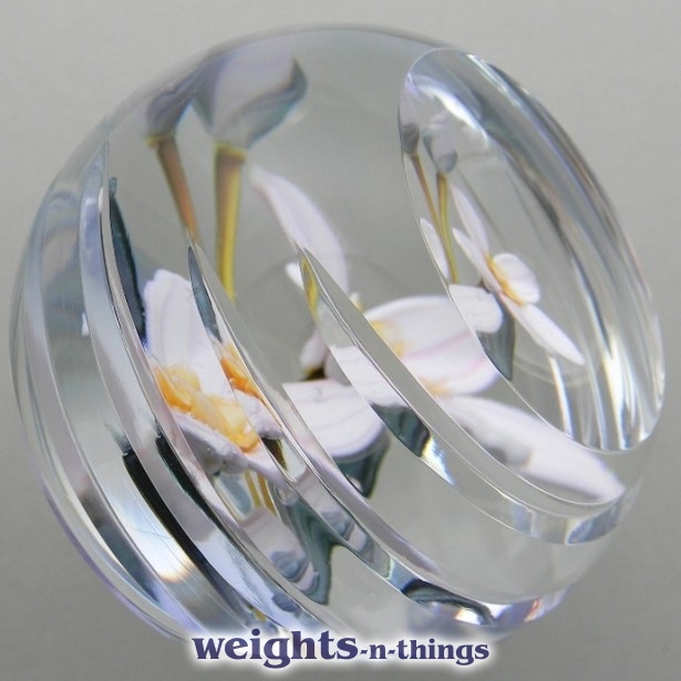 Oleander - Ed. 100 (2004) Oleander - Ed. 100 (2004)