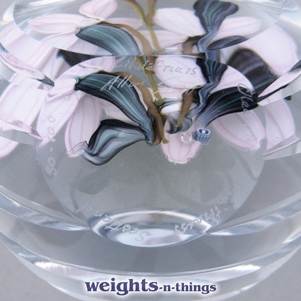 Oleander - Ed. 100 (2004) Oleander - Ed. 100 (2004)