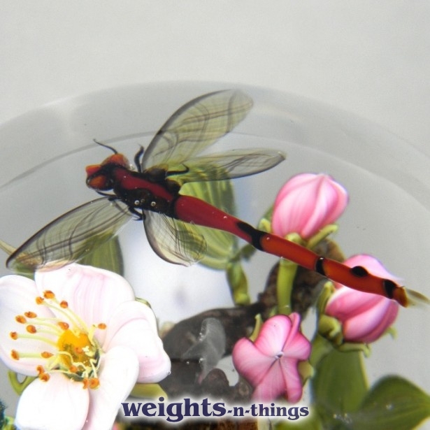 Dragonfly & Apple Blossom (2000)