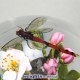 Dragonfly & Apple Blossom (2000)