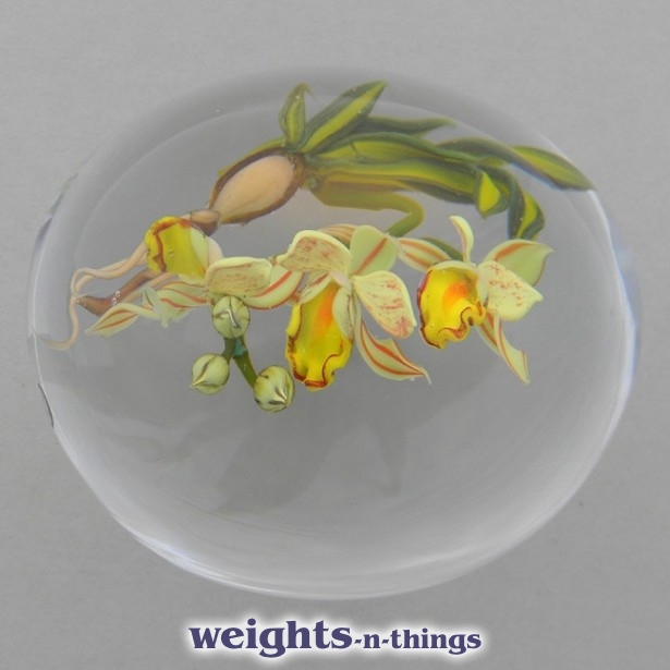 Cymbidium Orchids (1993)