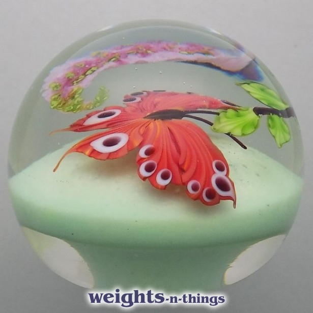 Reddish-orange Butterfly (2008)
