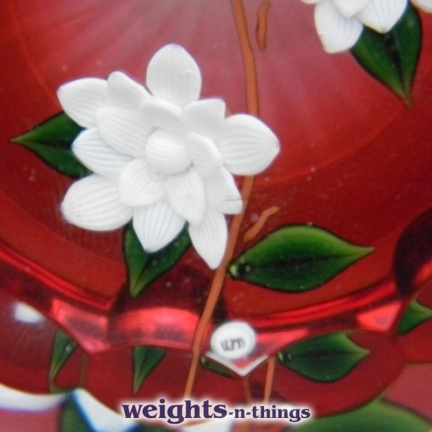 White Flowers with Ruby Flash White Flowers with Ruby Flash