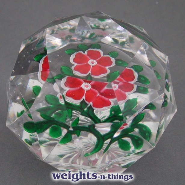Faceted Red Dogrose