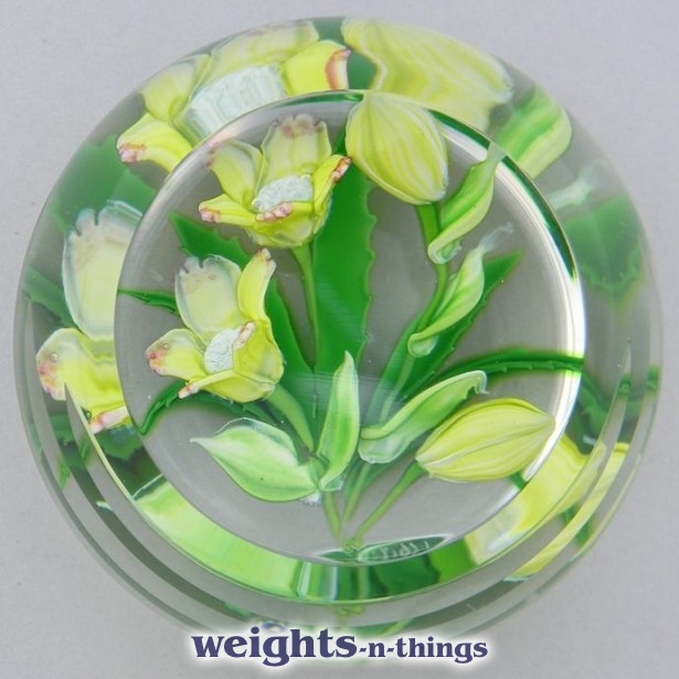 Hellebore - Ed. 100 (2004) Hellebore - Ed. 100 (2004)