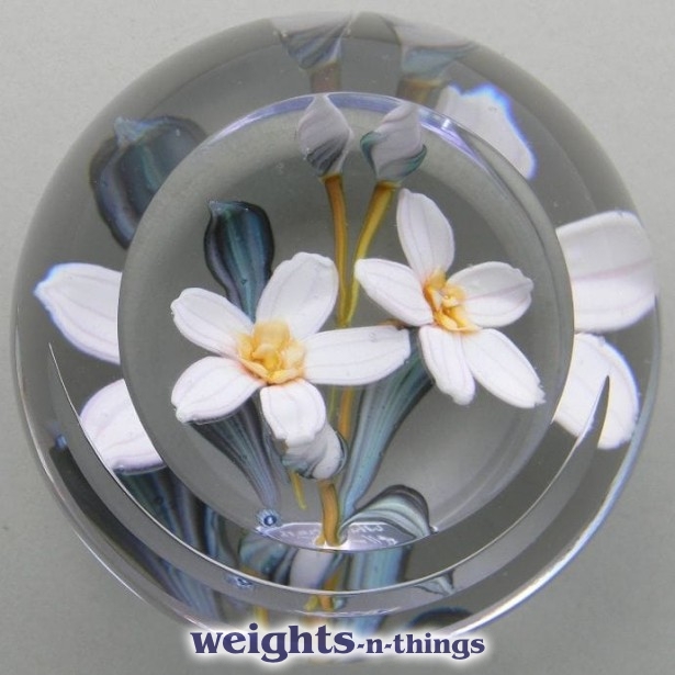Oleander - Ed. 100 (2004) Oleander - Ed. 100 (2004)