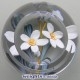 Oleander - Ed. 100 (2004) Oleander - Ed. 100 (2004)