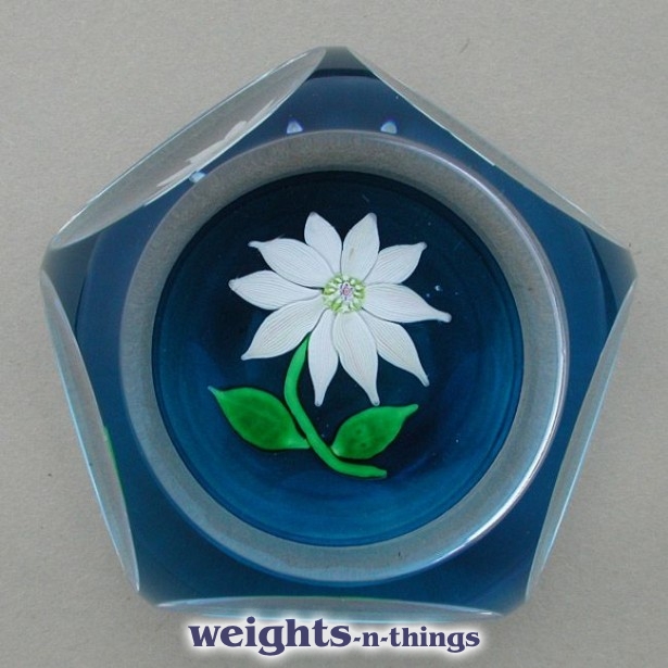 1969 White Flower/Blue Ground