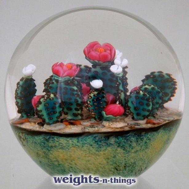 Prickly Pear Cactus (2008)