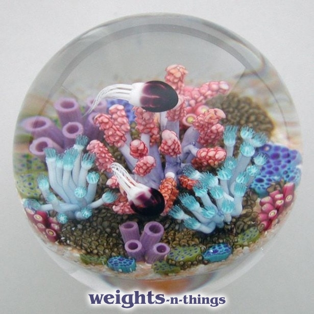 Soft Coral & Purple Jellyfish (2010)