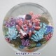 Soft Coral & Purple Jellyfish (2010)