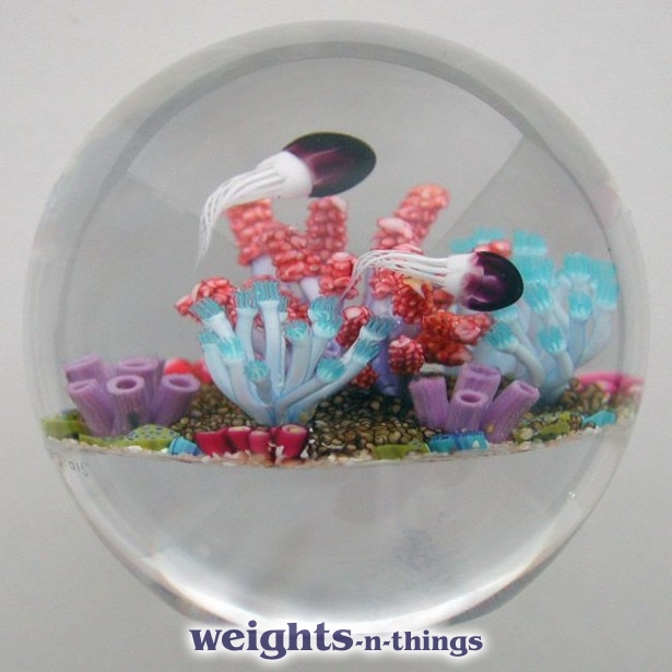 Soft Coral & Purple Jellyfish (2010)
