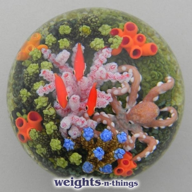 Octopus & Gorgonian Coral (2013)