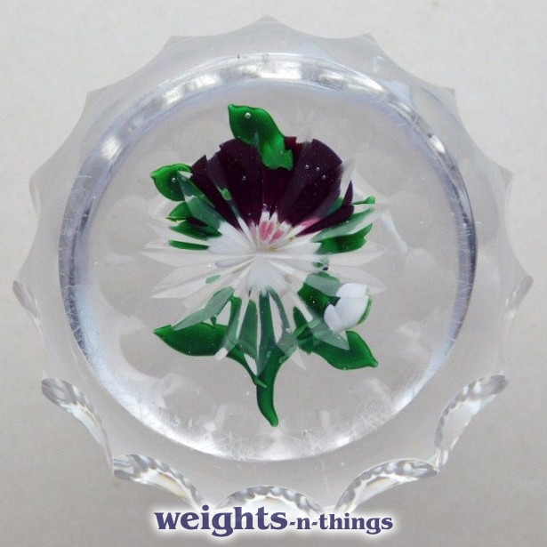 Faceted Type III Pansy