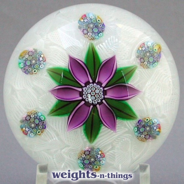 Clematis - Trial (2008) Clematis - Trial (2008)