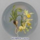 Cymbidium Orchids (1993)