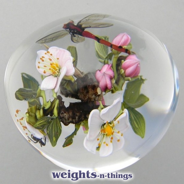 Dragonfly & Apple Blossom (2000)