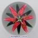 Easter Lily (1988) Easter Lily (1988)