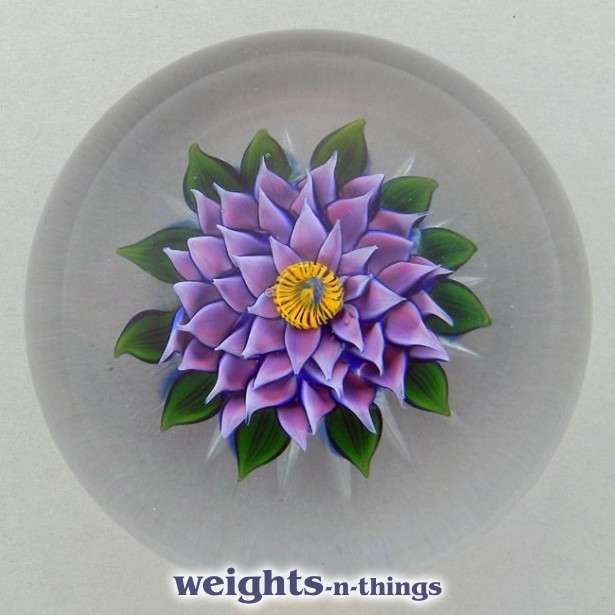 Mauve Dahlia (ca. 1988/90)