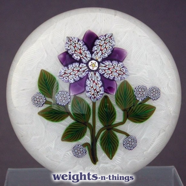 Purple Flower Ed. 35 (Mid-ysear 2006)