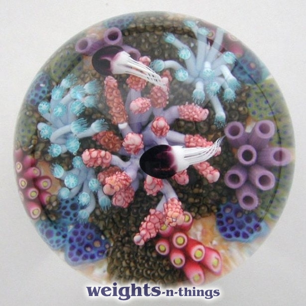 Soft Coral & Purple Jellyfish (2010)