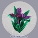 Deep-purple Iris (ca. 1990)
