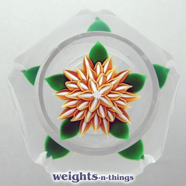 Multi-petalled Dahlia (2006)
