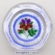 Pansy - Artist’s Proof (1998) Pansy - Artist’s Proof (1998)