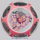 Pink D/O with Plum Blossom
