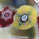 Miniature Spaced Concentric Miniature Spaced Concentric
