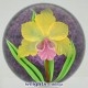Tropical Orchid (2007)