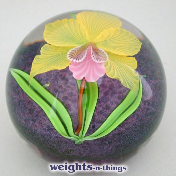 Tropical Orchid (2007)