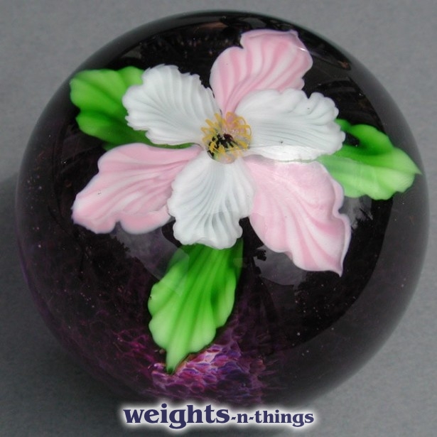 Pink & White Bloom (2005)