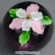 Pink & White Bloom (2005)