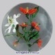 White & Orange Blossoms (2000)