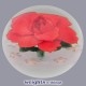 Scarlet Rose (Artist Proof) 2003