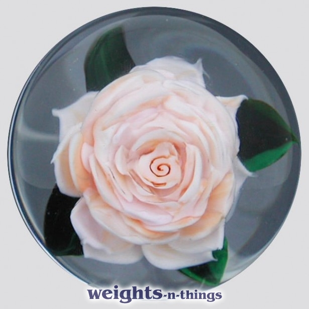 Miniature Blush Rose (2004)