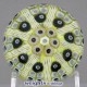 Mottled Lemon Cartwheel Mottled Lemon Cartwheel