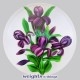 Purple Irises