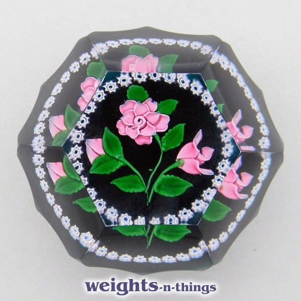 Queen Elizabeth Rose - Ed. 100 (1996) Queen Elizabeth Rose - Ed. 100 (1996)